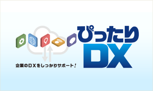 ぴったりDX