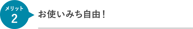 お使いみち自由！(事業性資金は除く)